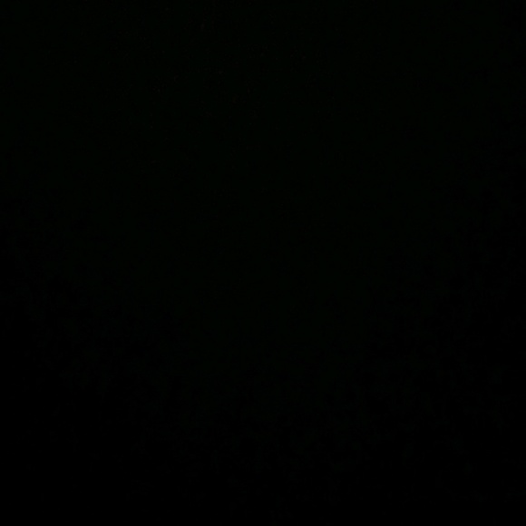 Meet your Posher, Greta - Picture 1 of 1